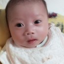 희원 네이버블로그