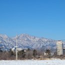 모드니숲