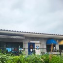 블루사이공 | 제주 애월 맛집 블루사이공 쌀국수, 포크반미 후기
