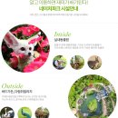 가족플라워 이미지