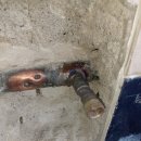 군포양정초교 이미지