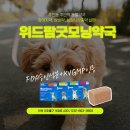 주안튼튼약국 이미지