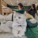 이화여자대학교 임상바이오헬스대학원 이미지