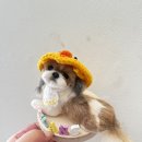 대한반려동물협회 | 시츄 양모펠트 미니어처 제작 후기와 반려동물양모미니어처지도사 2급 과정