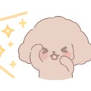 멍냥캉스 이미지