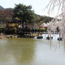 영산 연지 이미지