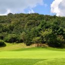 떼제베CC(대중제) 이미지