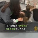 부산경상대학교 반려견유치원