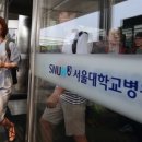 법률사무소세종