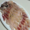 대아횟집 - 완도군 고금동로 573 | 대아횟집