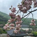 각원사길 이미지