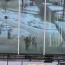 회생약국 | [에스토니아 탈린] 언니들 탈린가면 가슴이 너무 아리지 않아?