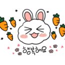 숲속의 샘물 캠핑장 이미지