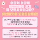 유앤미펫 성남 랙돌 고양이 분양 후기｜청결한 환경과 건강한 고양이