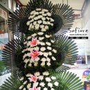 봉암동018 이미지