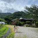 가람편백펜션 이미지