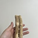 지구별댕댕이 이미지