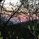 매봉축산 이미지