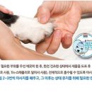 블리스풀