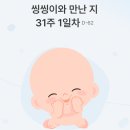 [임산부 영양제 추천] 임신중후기 필수 영양제 복용 | 비린맛 없는 사과맛 마시는 액상 철분제(feat...