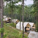 블랙트리하우스 | 영흥도 블랙트리캠핑장 트리하우스 숙박 후기