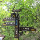 작은동산길 이미지