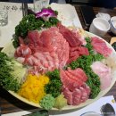 오광참치 이미지