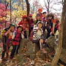 에이티 바이오 이미지