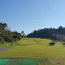 천지골프 이미지