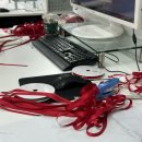 (주)디지털타임스 | 25.11월셋째주