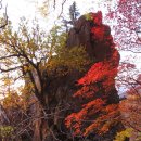 설악기획 이미지