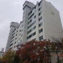 정왕한사랑약국 이미지