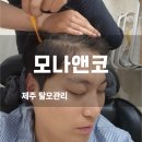 제주탈모관리 외도동 모나앤코 두피 스케일링부터 앰플 흡수까지 대만족 후기