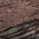 즐거운 시간/찹쌀 시루떡 이미지