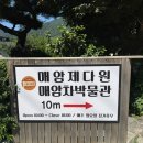하동 매암제다원 녹차밭 뷰 카페 예약 가격 주차 꿀팁