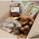 양지농산 - 강릉시 화부산로8번길 46 | 양지농산