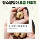풍뎅이의숲 | 곤충키우기 장수풍뎅이 애벌레 곤충분양 후기