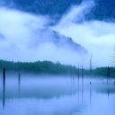 희미한옛사랑의 그림자 이미지