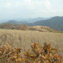 감포시장 이미지