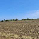 제주탄탄공인중개사사무소 이미지