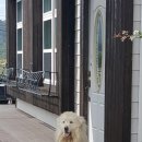 베가팬션