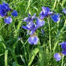 낙동강변12 이미지