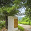 솔방울캠핑장 | 연천캠핑장 플라네캠핑장 구루미와 함께한 애견동반캠핑 불멍 후기