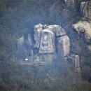 오늘도 신선 이미지