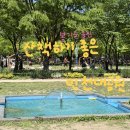 남동화원 | 5월 첫째주 인천대공원 후기
