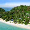 스위트 피피 이미지