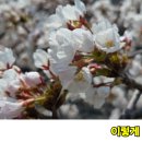 이렇게봄