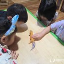 해빛유치원 이미지