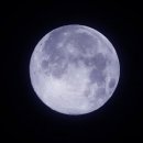 블루문(Blue Moon) 이미지