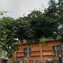 여명민박 이미지